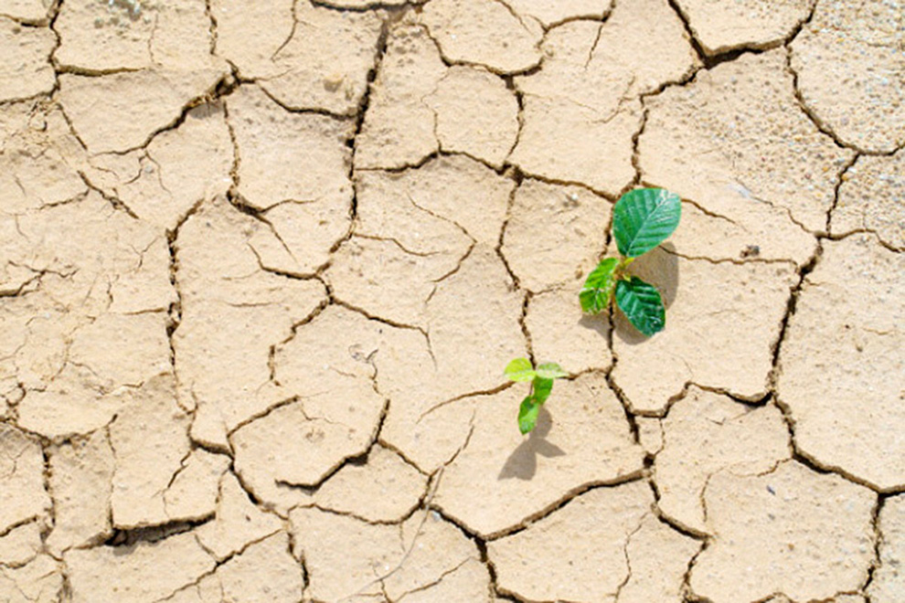 Por el cambio climático, el verano podría durar seis meses para 2100