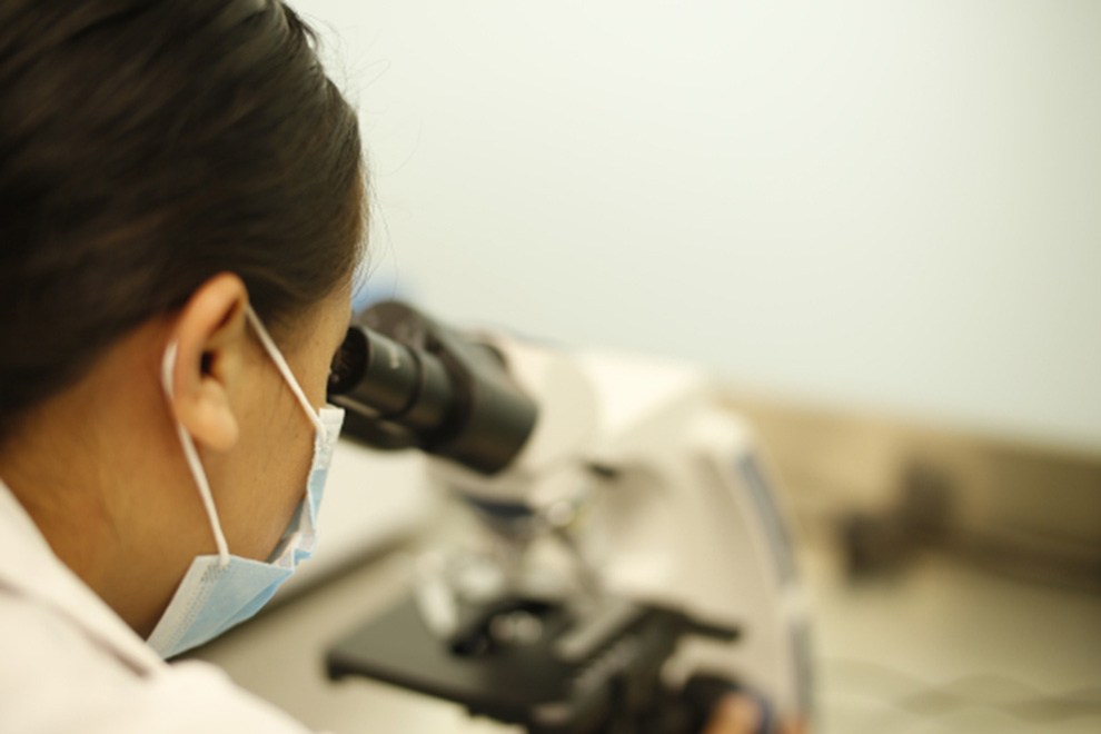 Investigación se convierte en un motor de las industrias