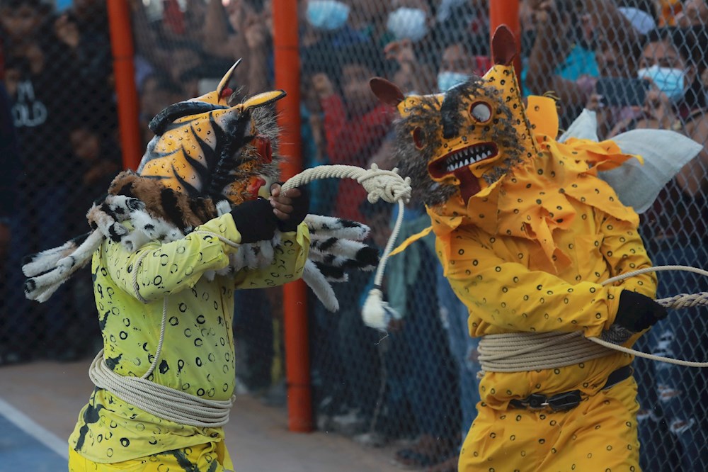 Pelea de tigres, un ritual al dios de la lluvia que se mantiene en México