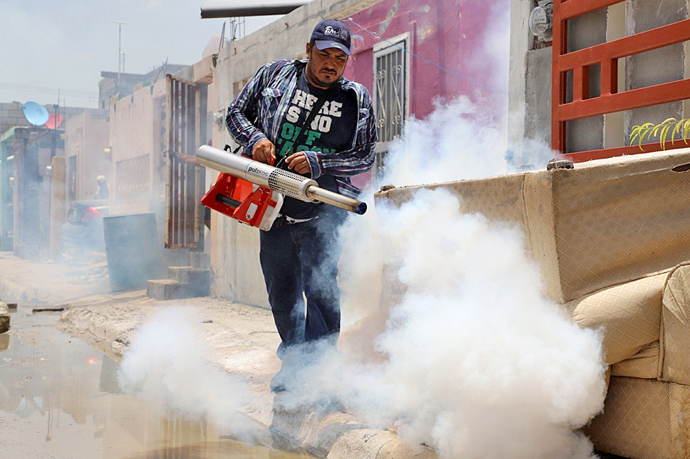 Tras lluvias exhortan a eliminar “cacharros” y criaderos del mosquito transmisor del dengue
