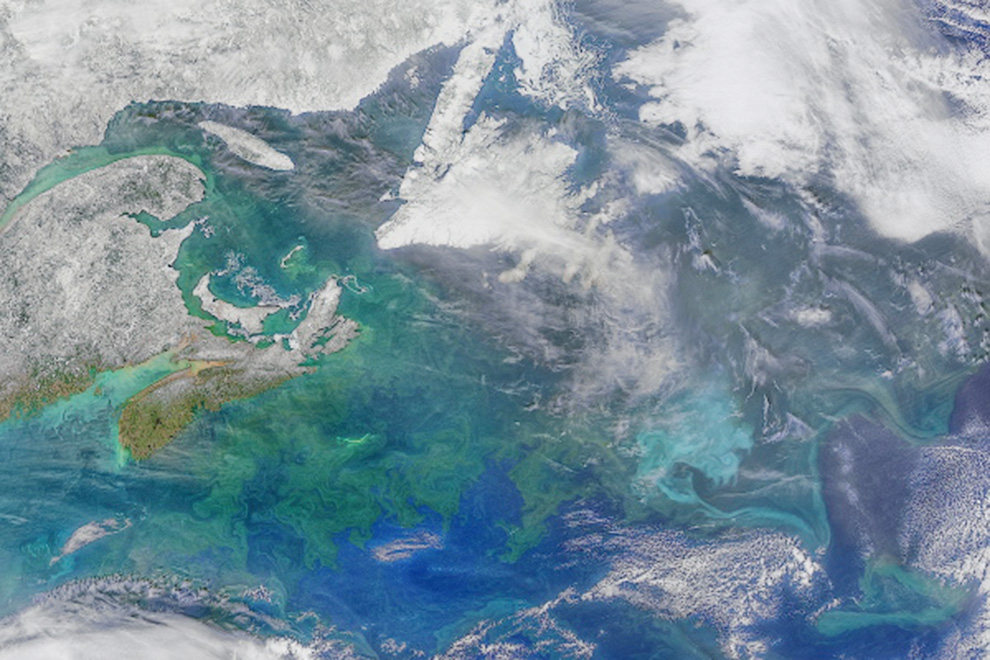 NASA busca rescatar zona crepuscular de océanos para combatir el cambio climático