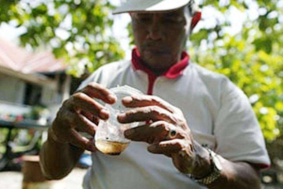 Investigadores aseguran que existe una relación entre la Covid-19 y el dengue