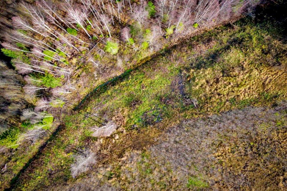 Pronostican que la Tierra se caliente antes de lo estipulado en el Acuerdo de París