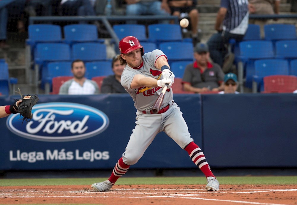 10-6. Bader pega jonrón y corona racimo de siete para los Cardenales