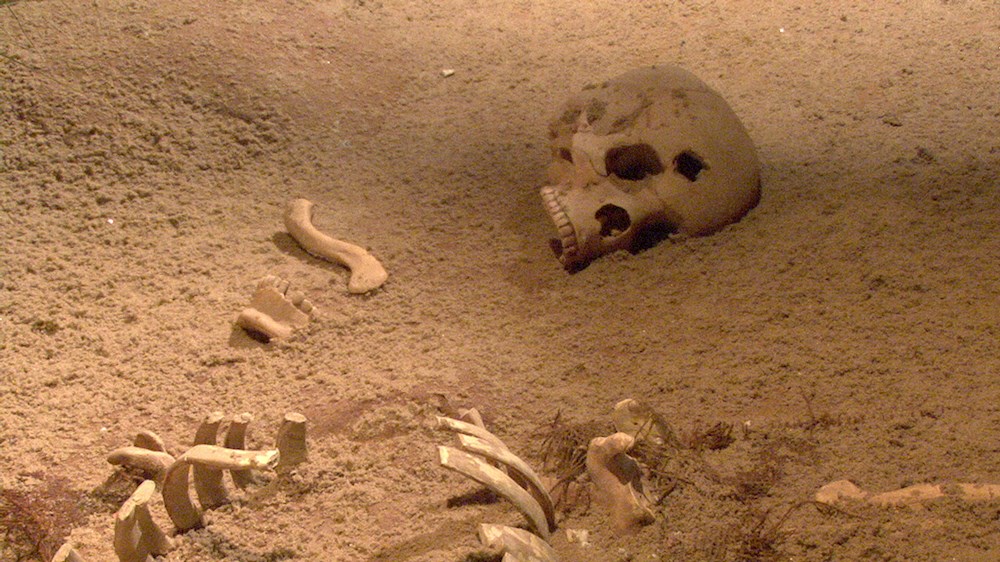 Encuentran la bacteria que causó la peste negra en un esqueleto de 5.000 años