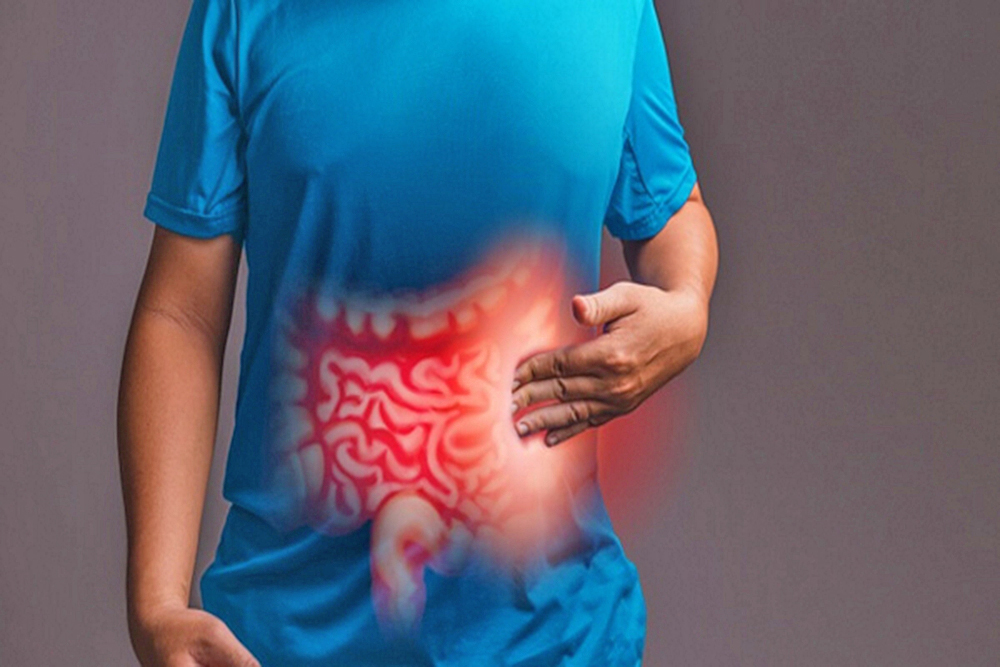 Cómo mejora el sistema digestivo a través de la microbiota intestinal