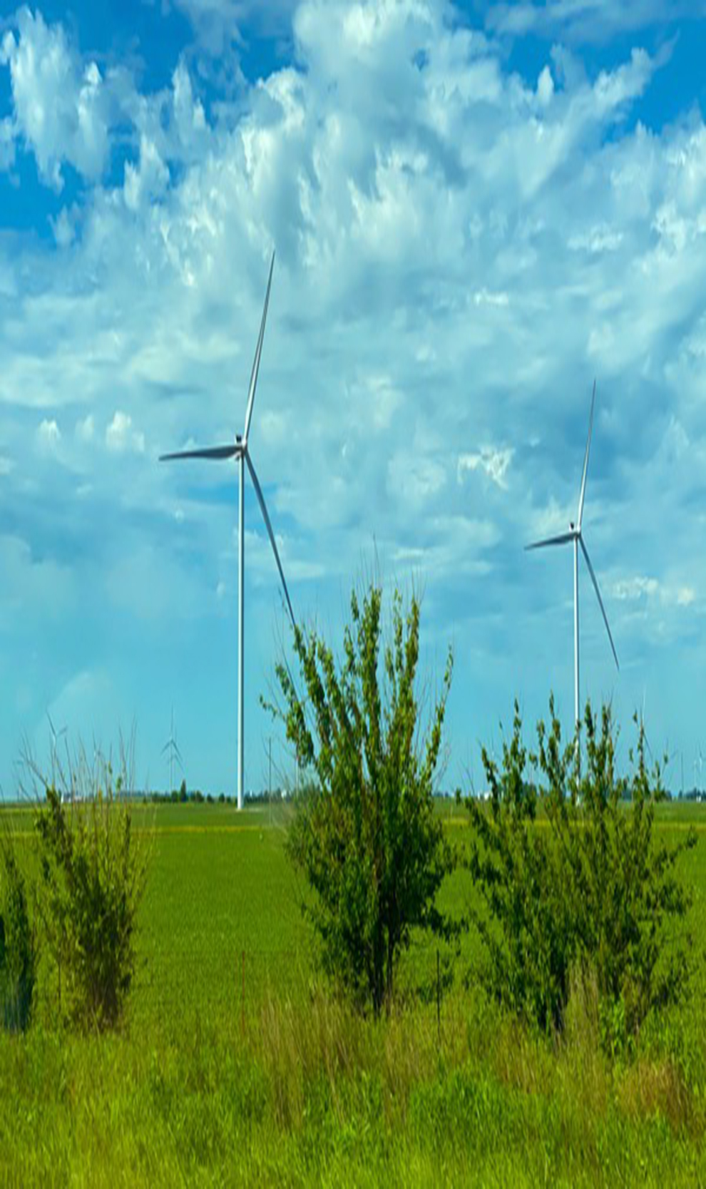 Diseño contribuye a la sostenibilidad y a un mejor cuidado de la naturaleza