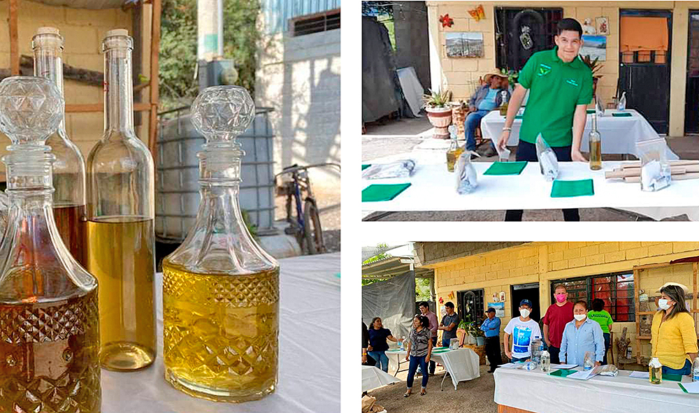 Enriquecen el mezcal con plantas aromáticas y de propiedades antioxidantes