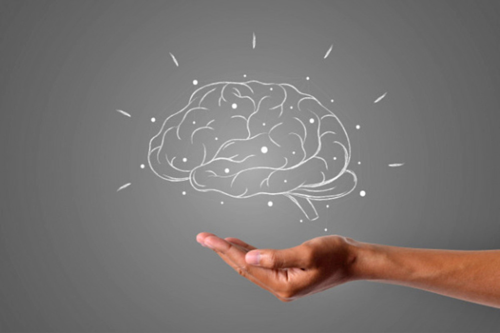 ¿Qué es la optogenética y cómo puede auxiliar en el estudio del cerebro?