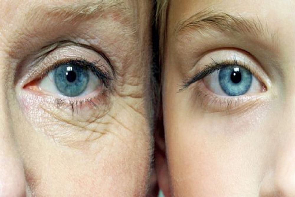 Investigación muestra que oxidantes pueden retrasar el envejecimiento celular