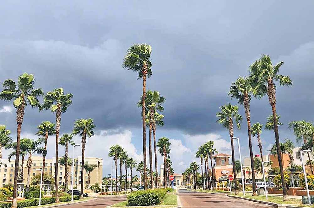 El 50.6% de la población del área McAllen es menor de 30 años