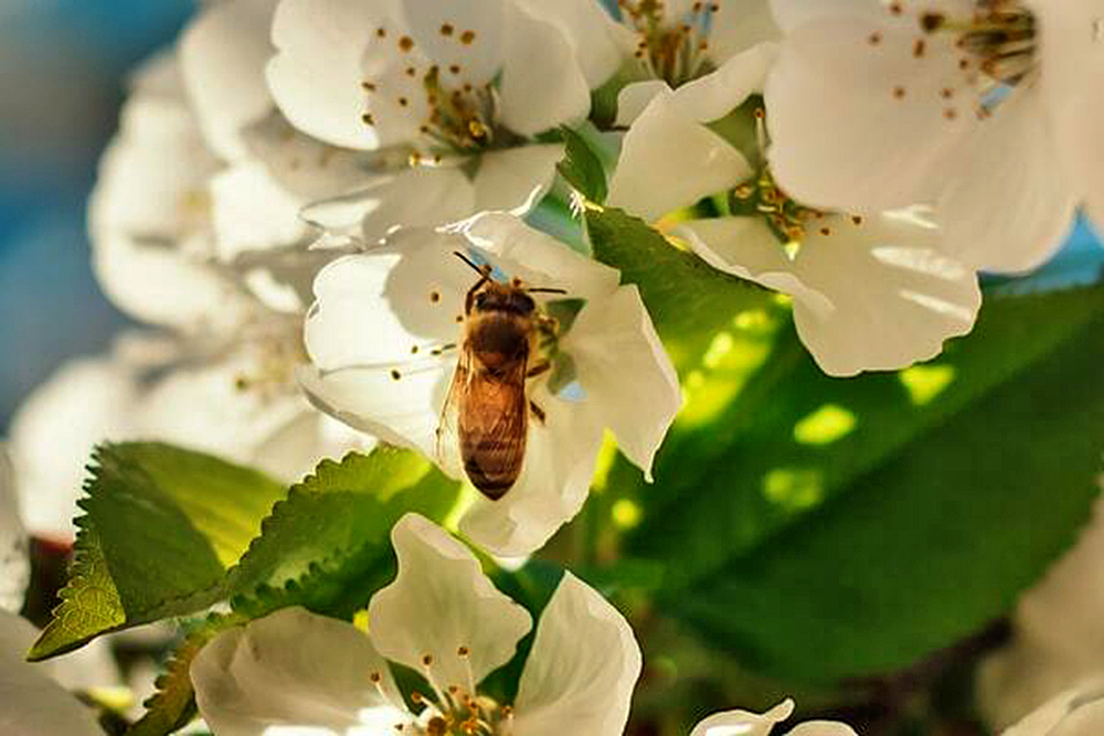 1A618C3D-023C-4BC9-85A0-C921452A30B5