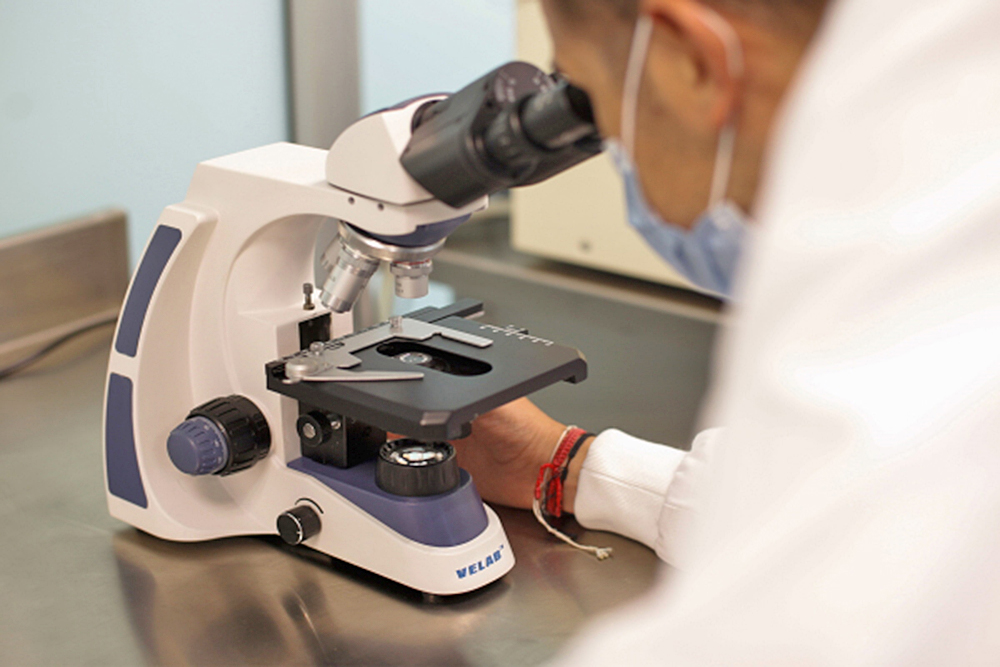 Con producción de anticuerpos, científicos buscan prevenir futuros coronavirus