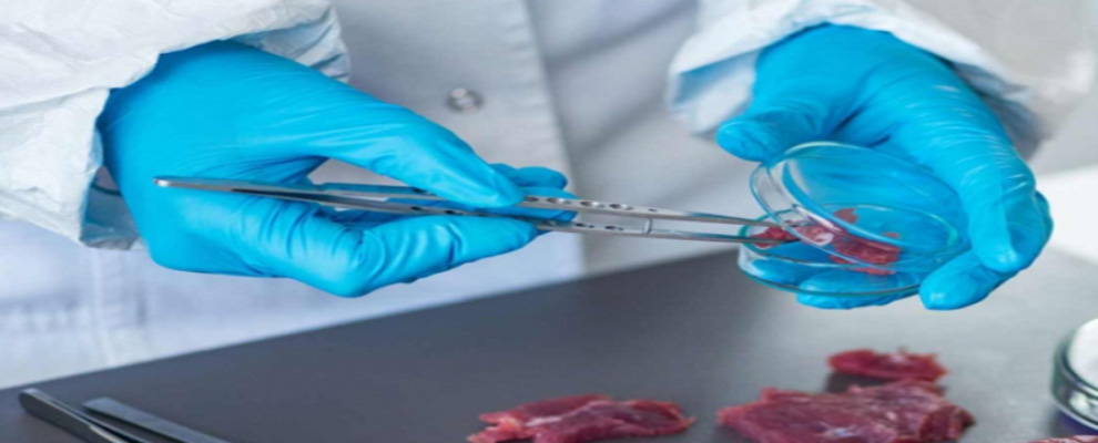 Consumo de carne silvestre podría reducir la emisión de gases de efecto invernadero