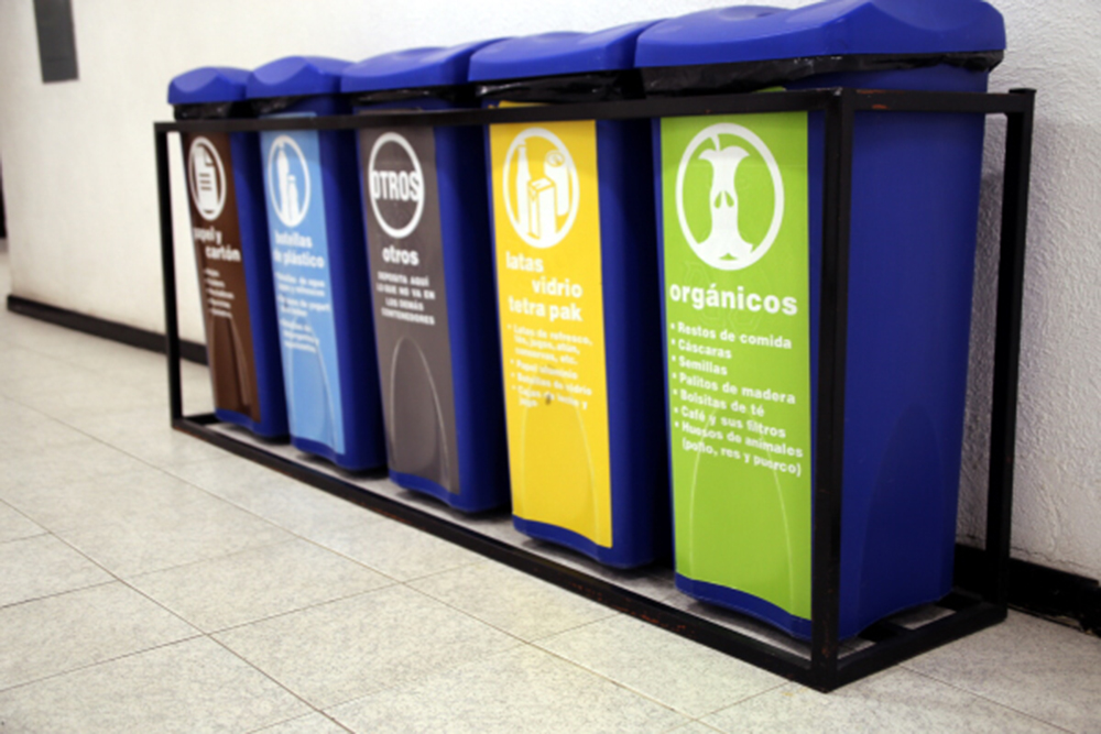 Cuál es la importancia de la educación ambiental para la sostenibilidad y zero waste