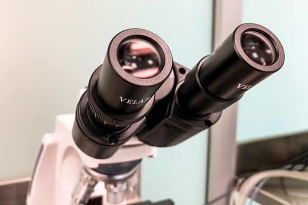 Estas son las investigaciones más importantes que realizó el MIT durante 2021