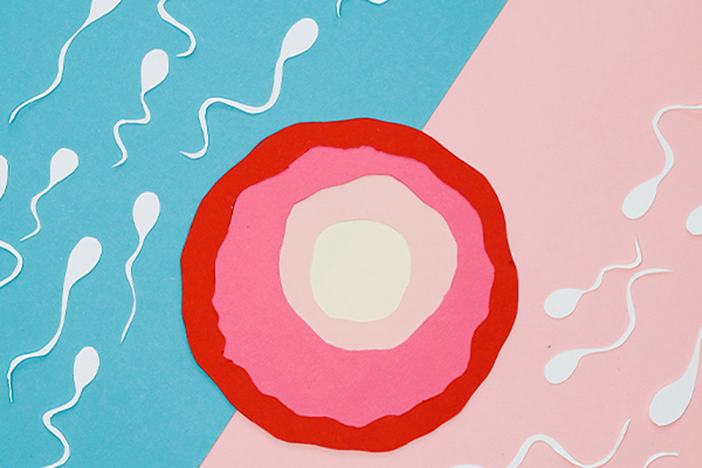 Expertos señalan que Covid-19 puede afectar la fertilidad masculina