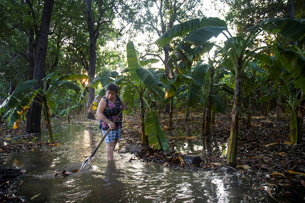 Humedales basados en la naturaleza como solución a la sequía en México
