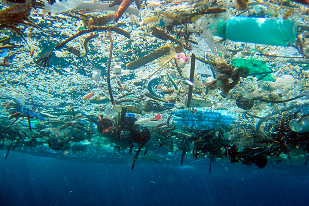 ¿Cómo atenderán a los millones de desechos plásticos en el océano luego de la COP26?