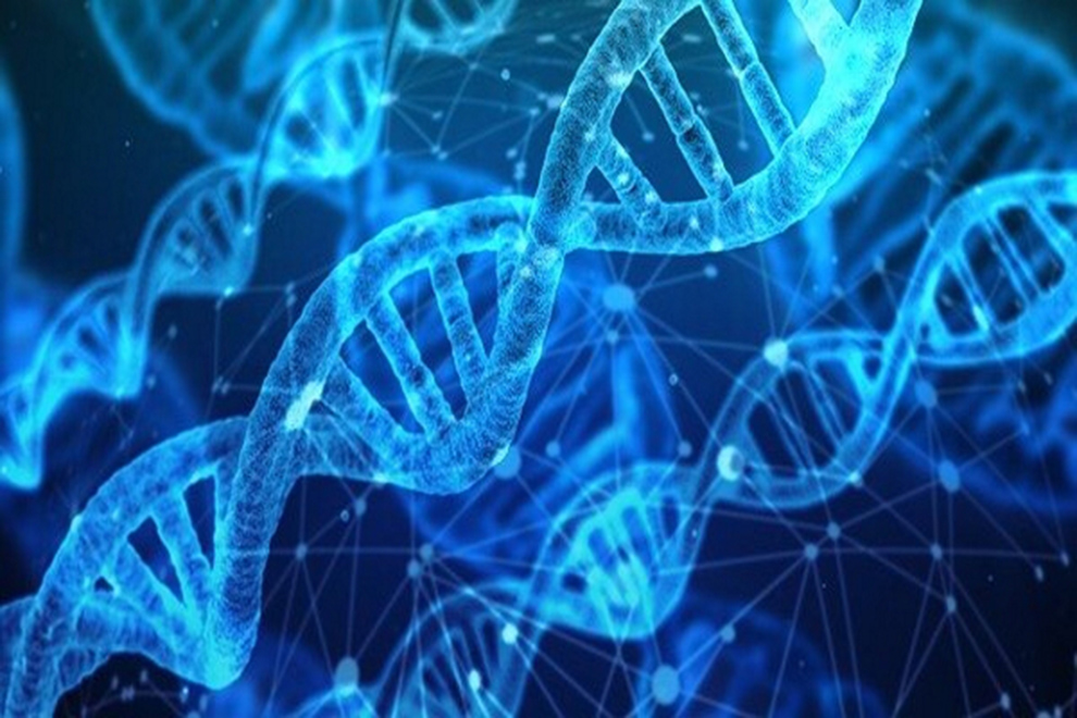 Investigadores crean nuevo sistema de edición genética eficiente