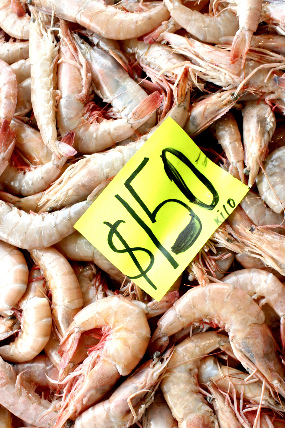 México mantiene certificación de Estados Unidos para exportar camarón