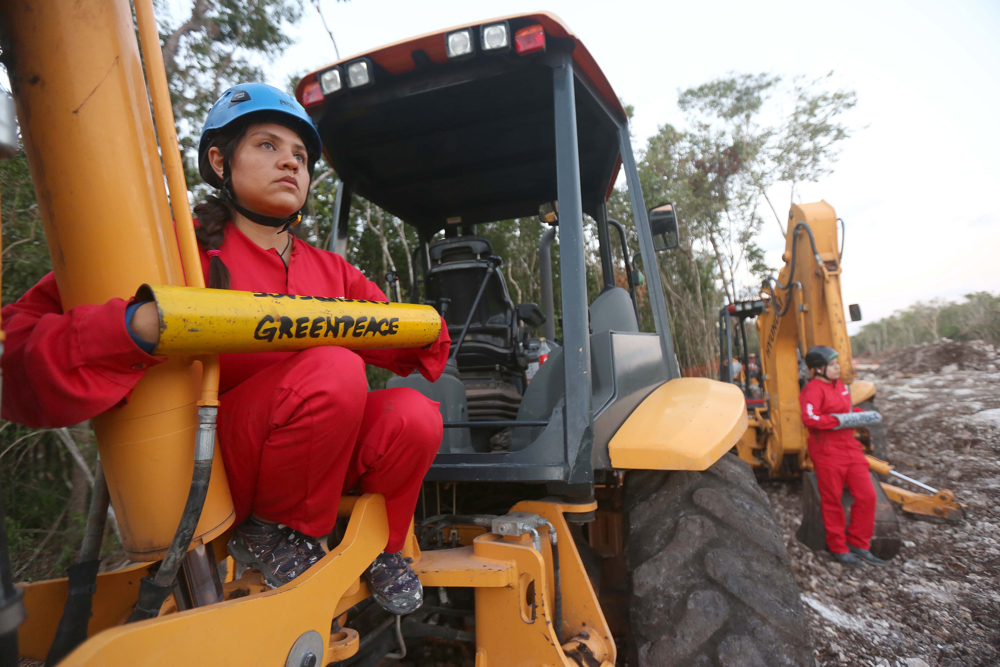Activistas de Greenpeace se encadenan a maquinaria del Tren Maya