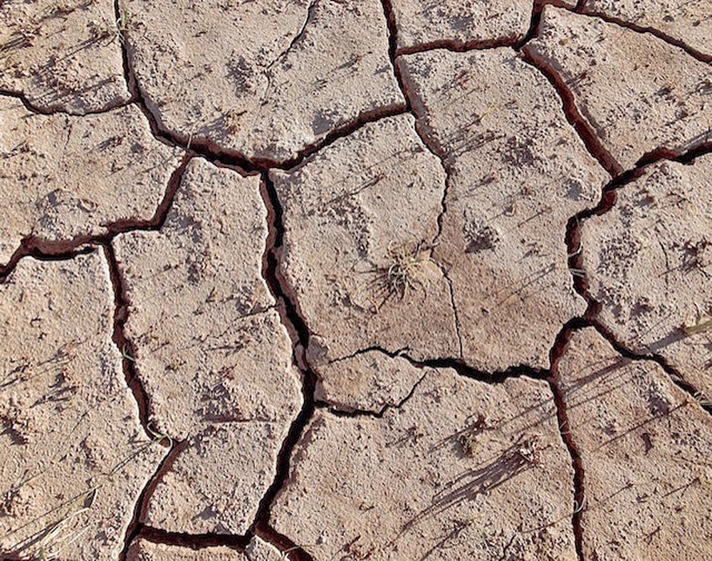 Estudio revela relación entre los climas extremos y la transmisión de enfermedades