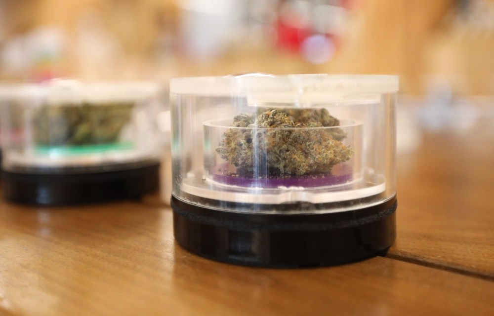 Sirvió platos con marihuana en su boda y ahora está presa junto a la cocinera