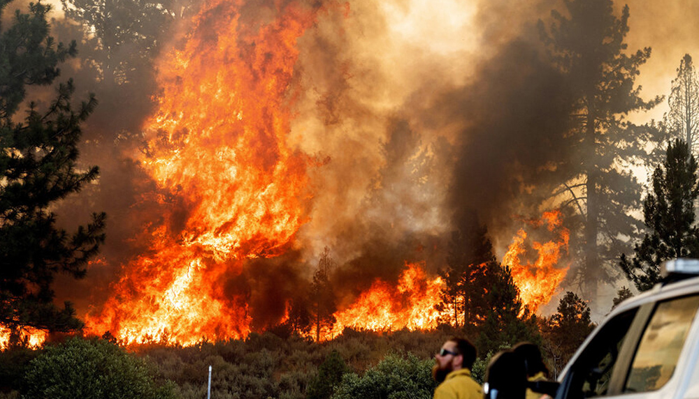 Corte de Comisionados de Hidalgo declara desastre local