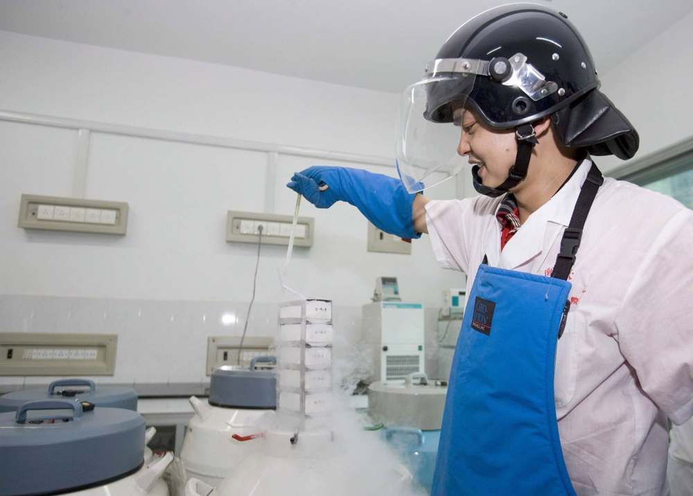 La primera secuencia completa del genoma humano revela regiones ocultas