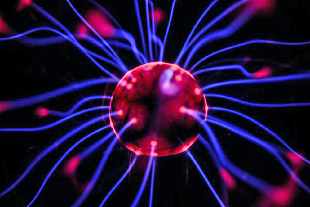 Neuronas impulsan la actitud competitiva y ecología social