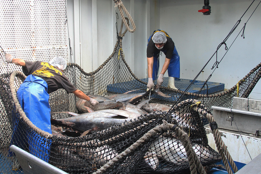 México aumentó su producción pesquera y acuícola en 2021