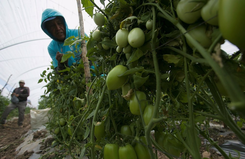 El Banco Mundial prevé que Latinoamérica y el Caribe crezcan un 2,5% este año