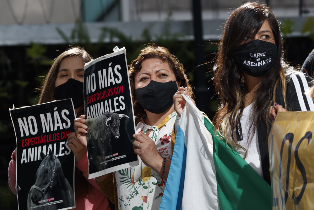 Activistas en Ciudad de México piden freno definitivo a las corridas de toros