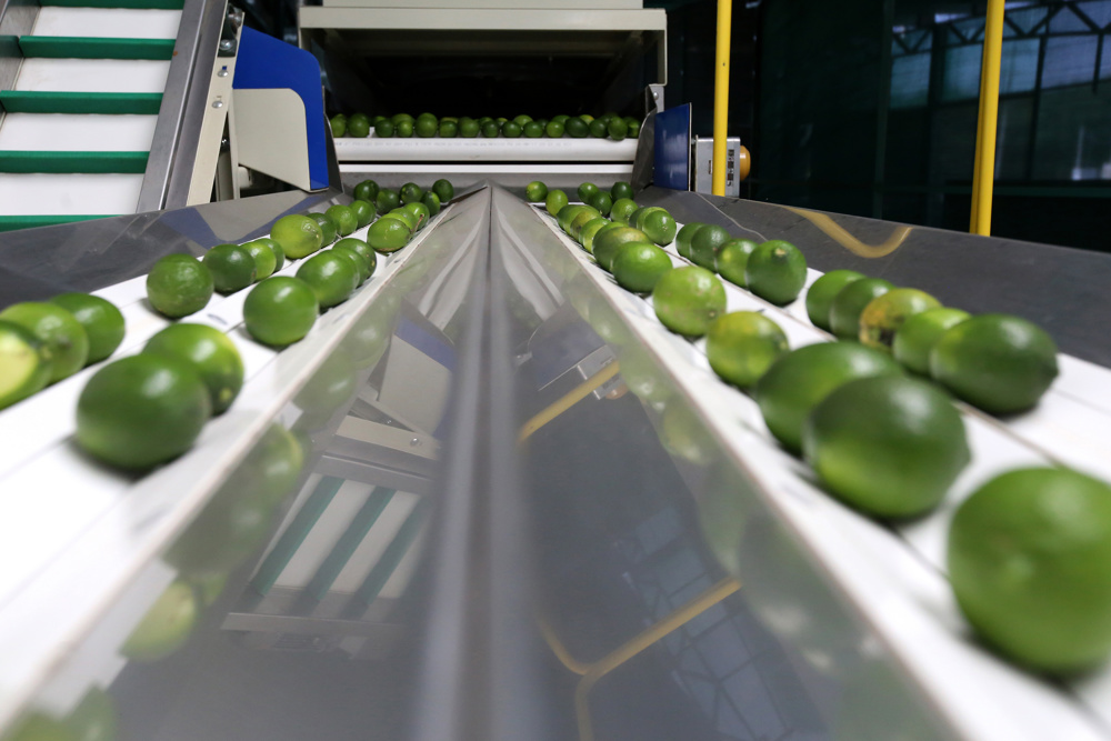 México registra déficit comercial de 2.215 millones de dólares en mayo