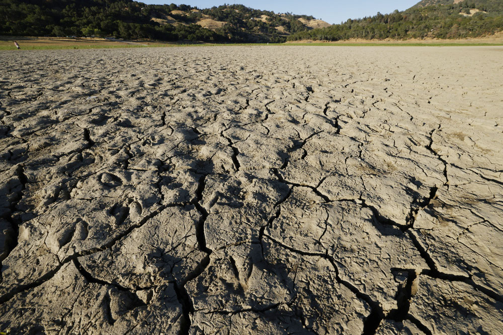 Los Ángeles inicia restricciones de riego mientras avanza la sequía en EEUU