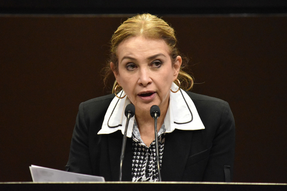 Diputada mexicana pide medidas de protección a menores por violencia