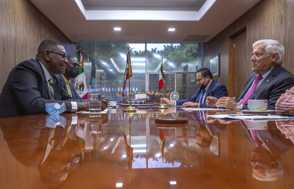 México apoyará a Haití por peste porcina