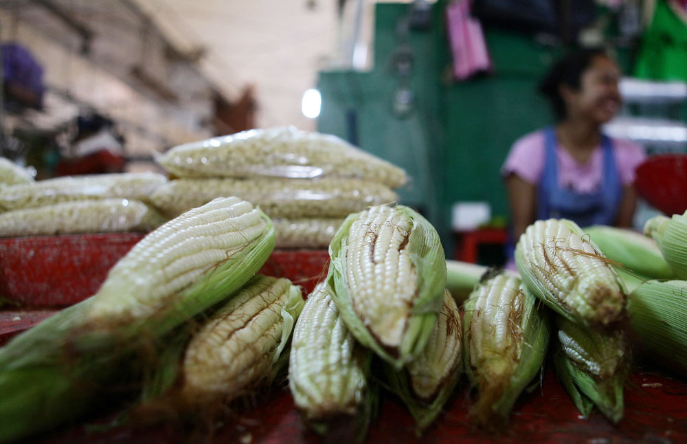 México puede bajar precios de alimentos con cultivo ancestral, dice experto