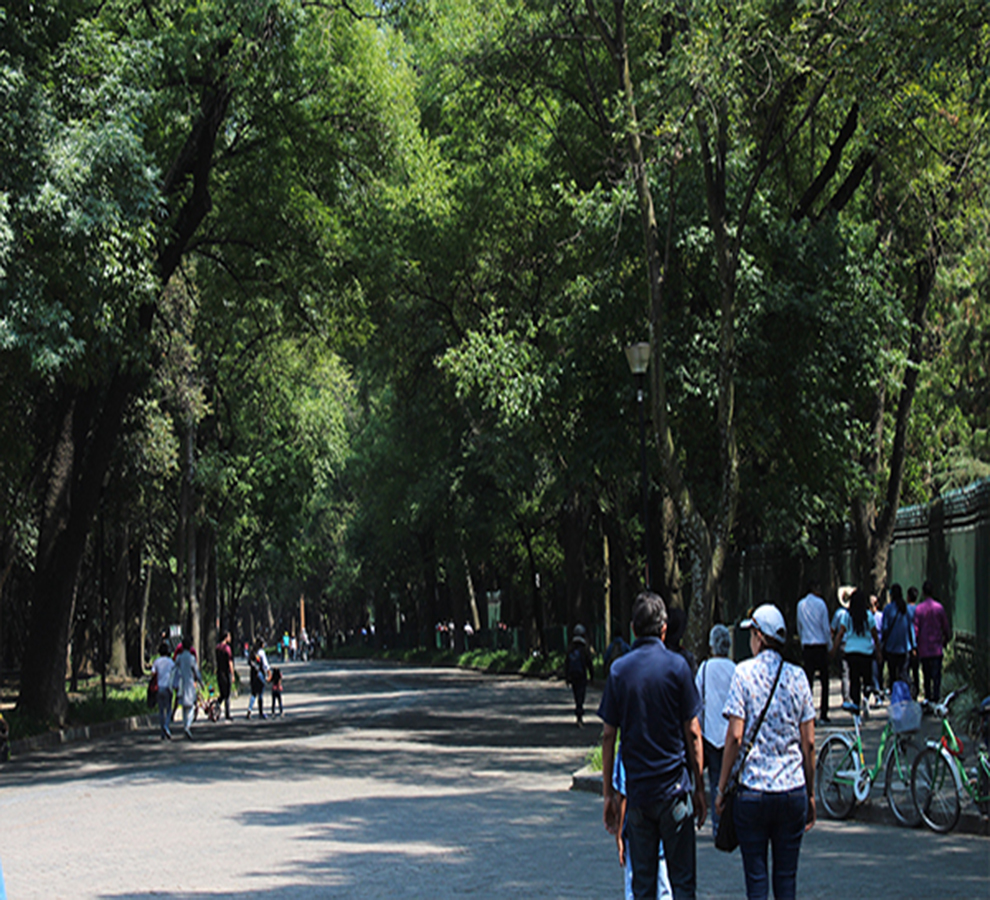 Vivir cerca de parques y áreas verdes aumenta la calidad de vida, aseguran estudios