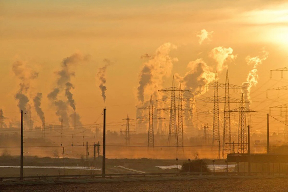 Partículas contaminantes del aire transitan al cerebro y causan daños neurológicos