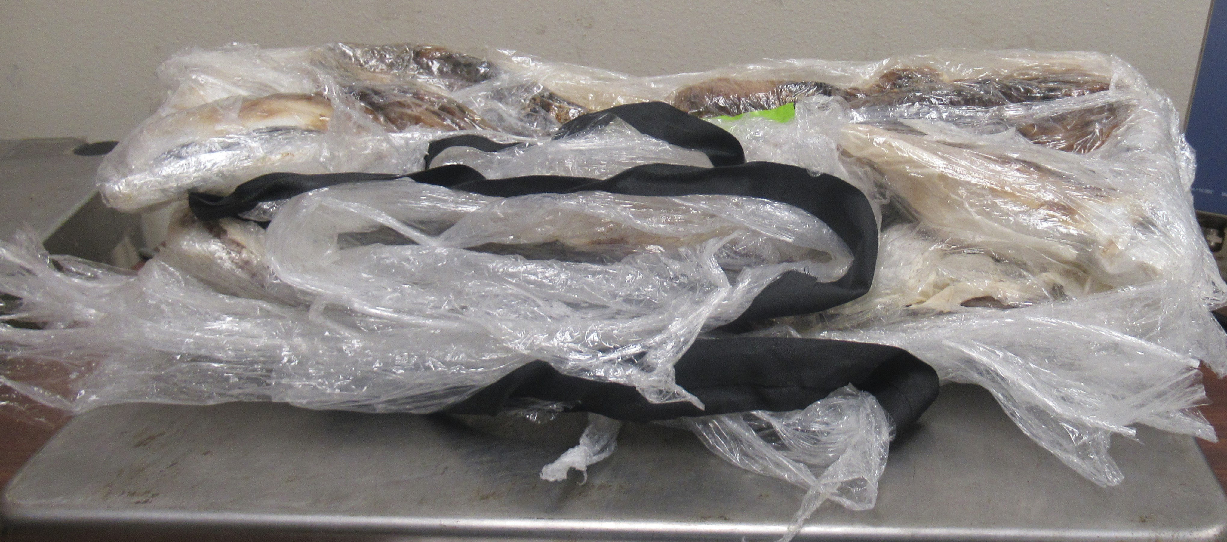 Incautan cocaína de un peatón en el puente internacional de Hidalgo