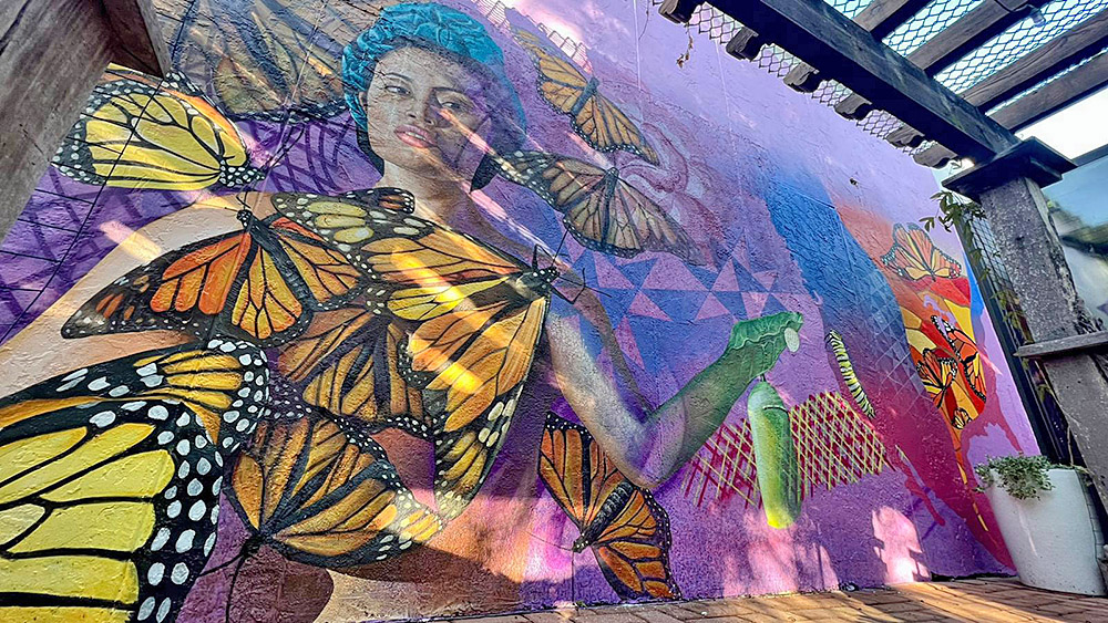 Mural celebra la conservación del hábitat de la Monarca en Quinta Mazatlán