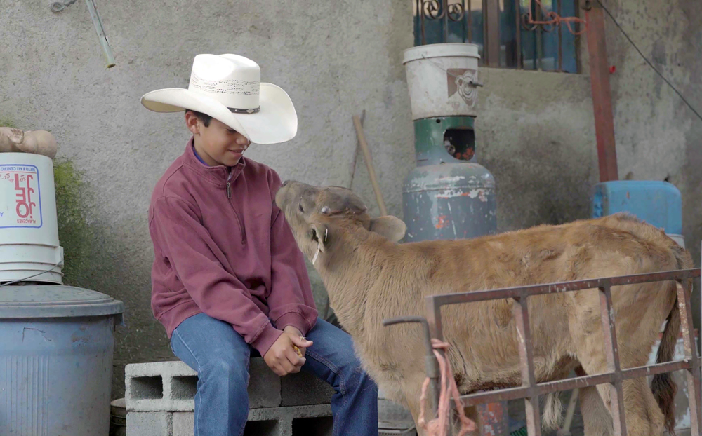 Documental mexicano “Temporada de campo” ofrece mirada infantil del vaquero