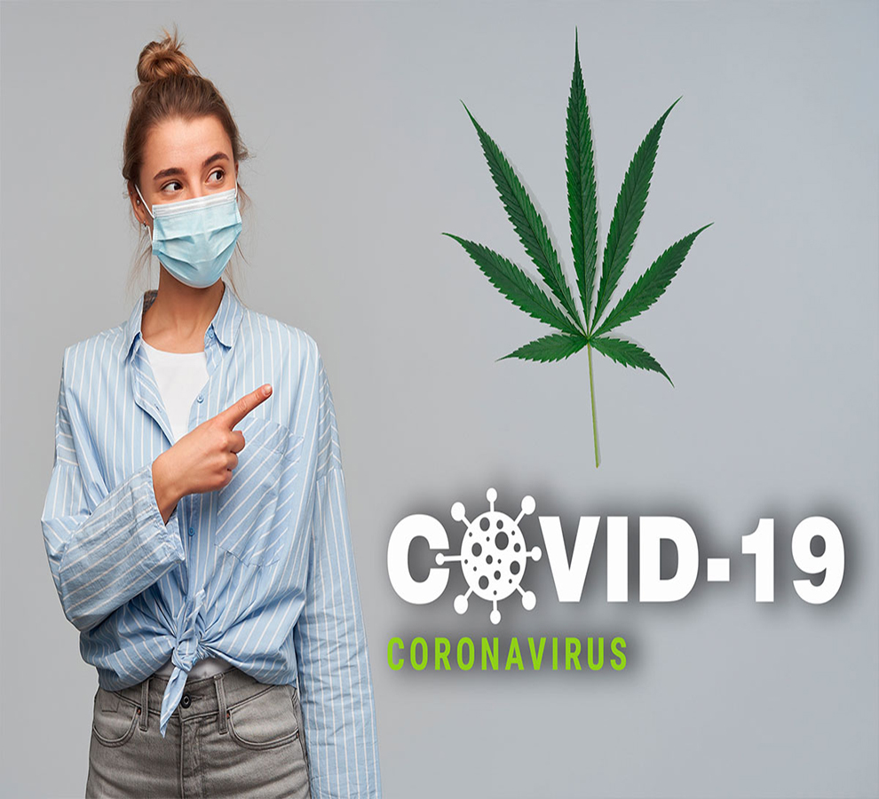 ¿Podría la cannabis reducir la gravedad de la Covid-19? Esto dicen los especialistas