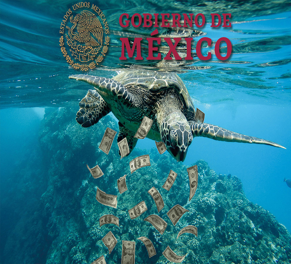 Economía oceánica sostenible: en qué consiste esta estrategia del gobierno de México