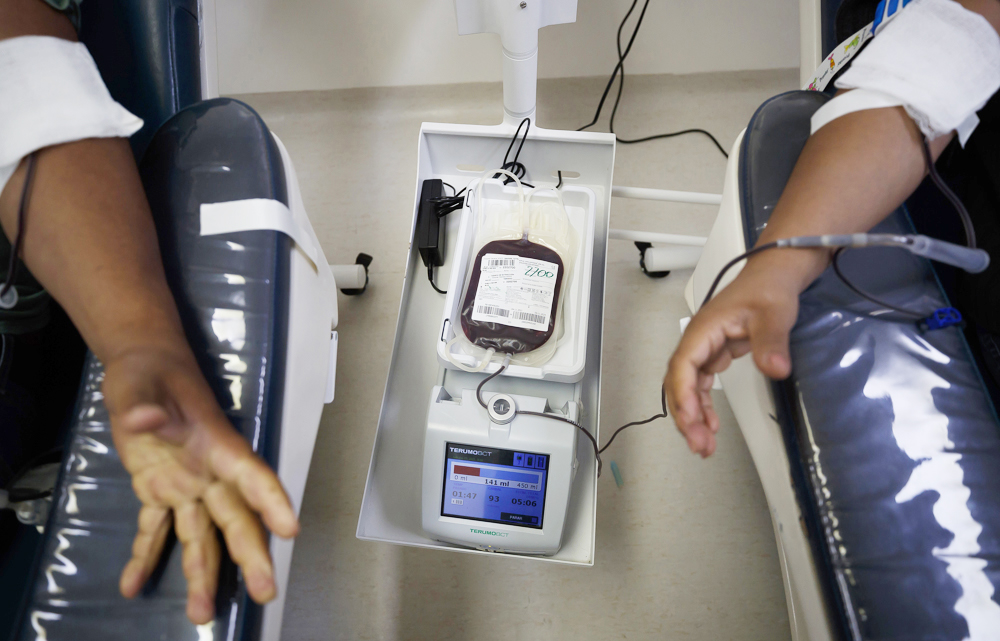 Información es clave para atención integral de la hemofilia en Latinoamérica