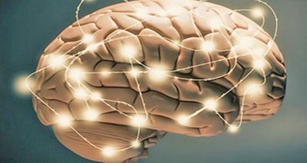 El cerebro humano después de los 60 años