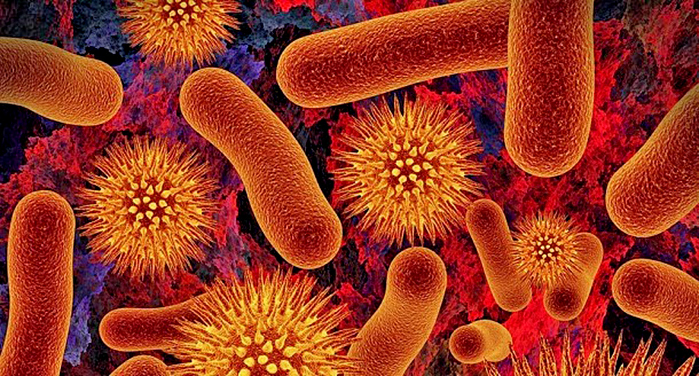 Superbacterias: ¿estamos a salvo