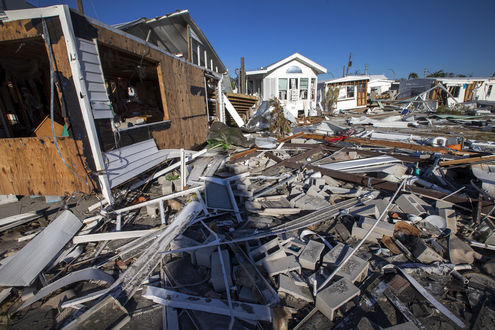 Alertan sobre posibles encuentros con animales en áreas impactadas por Ian